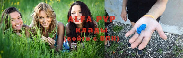 тгк Володарск