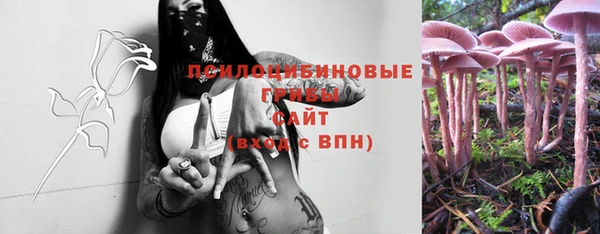 тгк Володарск